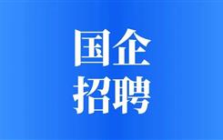 四川九河环保集团有限责任公司及下属子公司2024年第四批员工公开招聘的公告